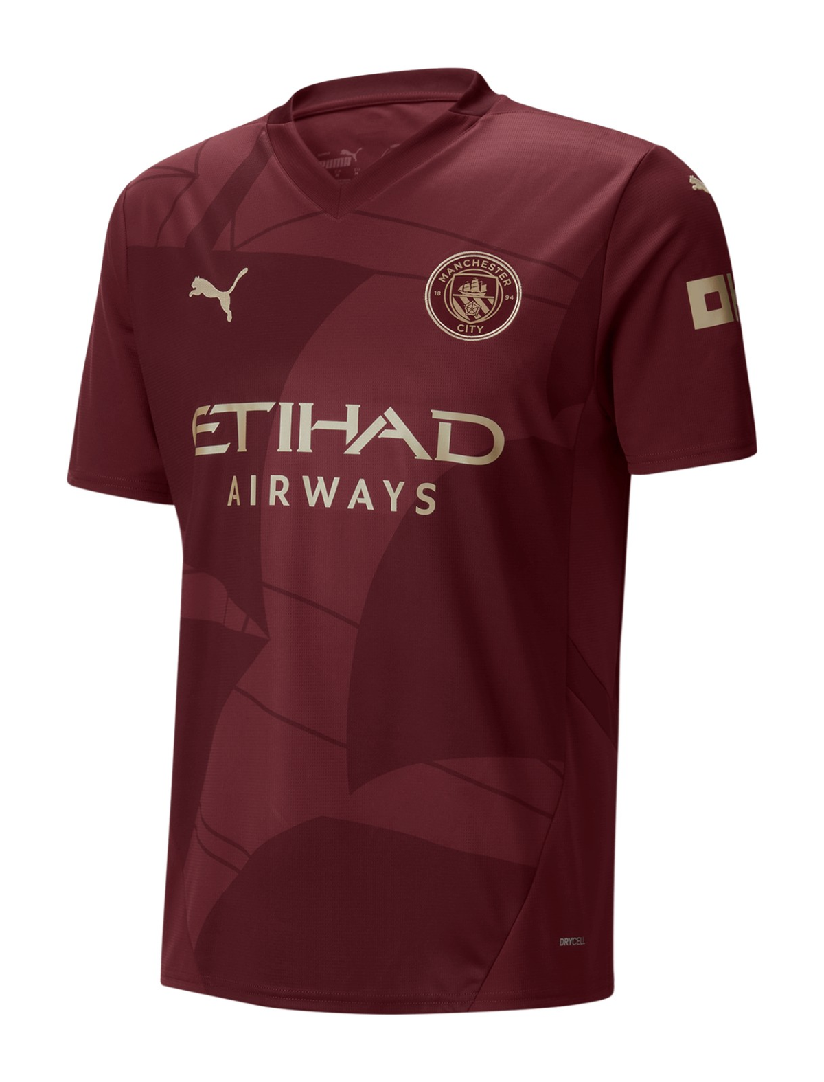 Manchester City 2024-25 Third