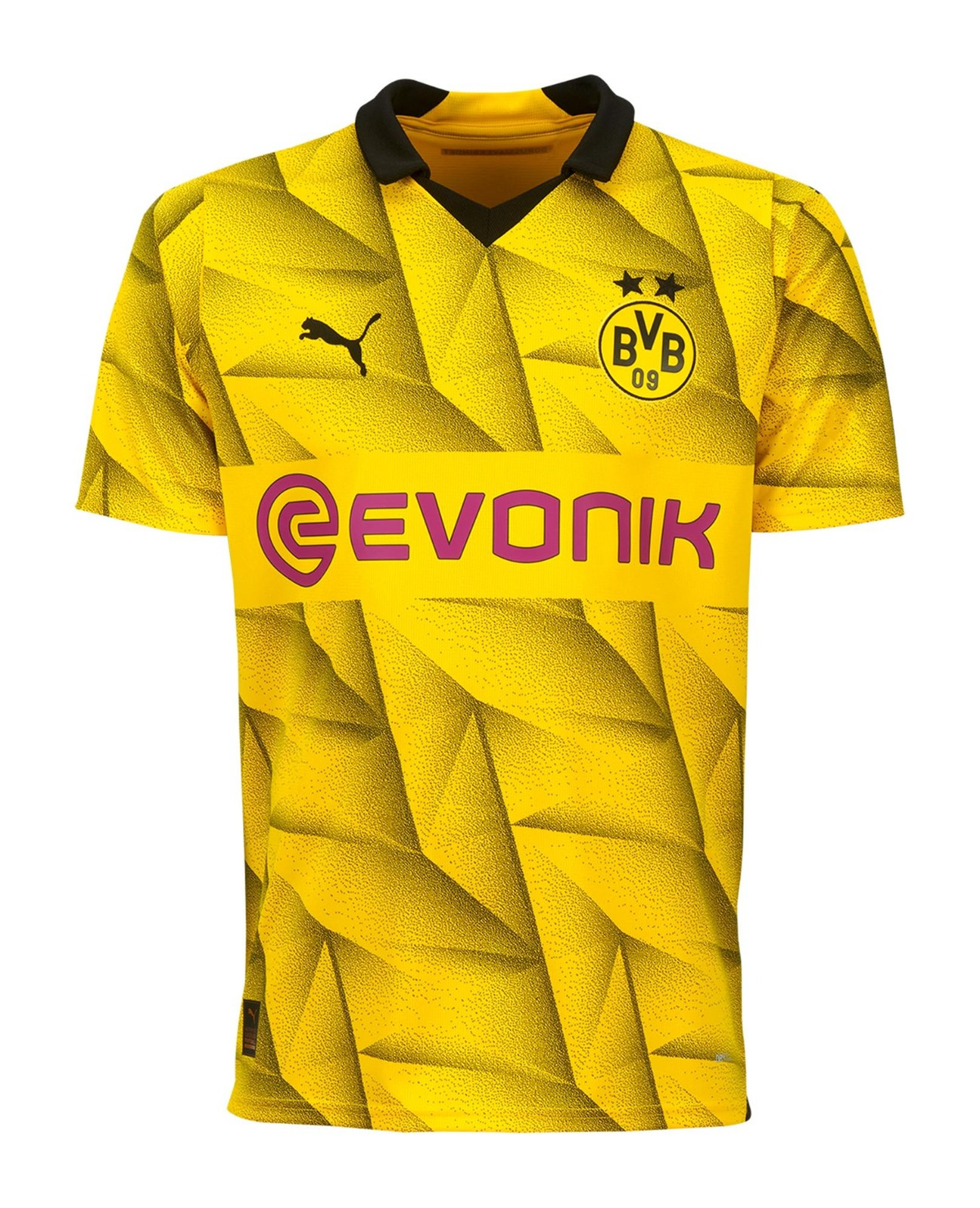 Borussia Dortmund 2023-24 Cup