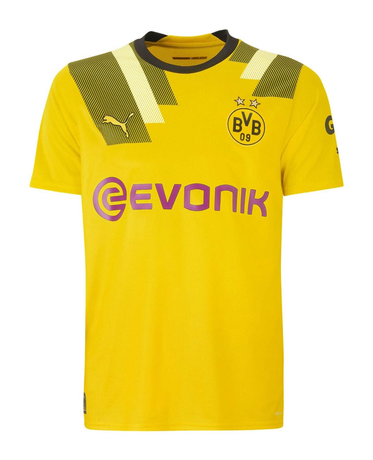 Borussia Dortmund 2022-23 Cup